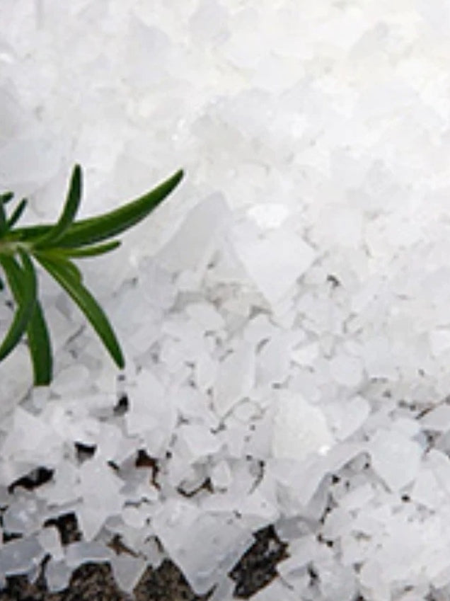 Blants Magnesium Flakes Eko Hub